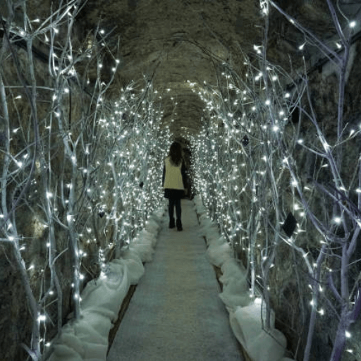 Winter Christmas Light Hire