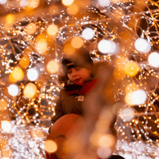 Winter Light Trail Hire