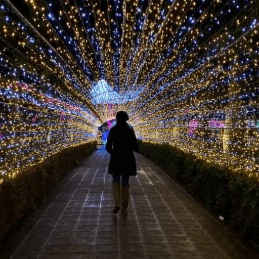 Winter Light Trail Rental