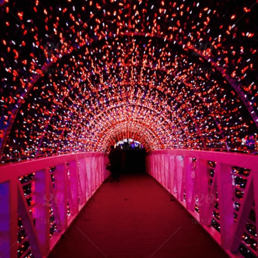 Winter Wonderland Lights Rental